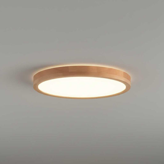 Elegant Round LED Flush Mount Ceiling Light | Home Lighting