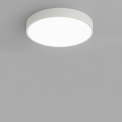 Round LED Flush Mount Ceiling Light | Modern Home Lighting