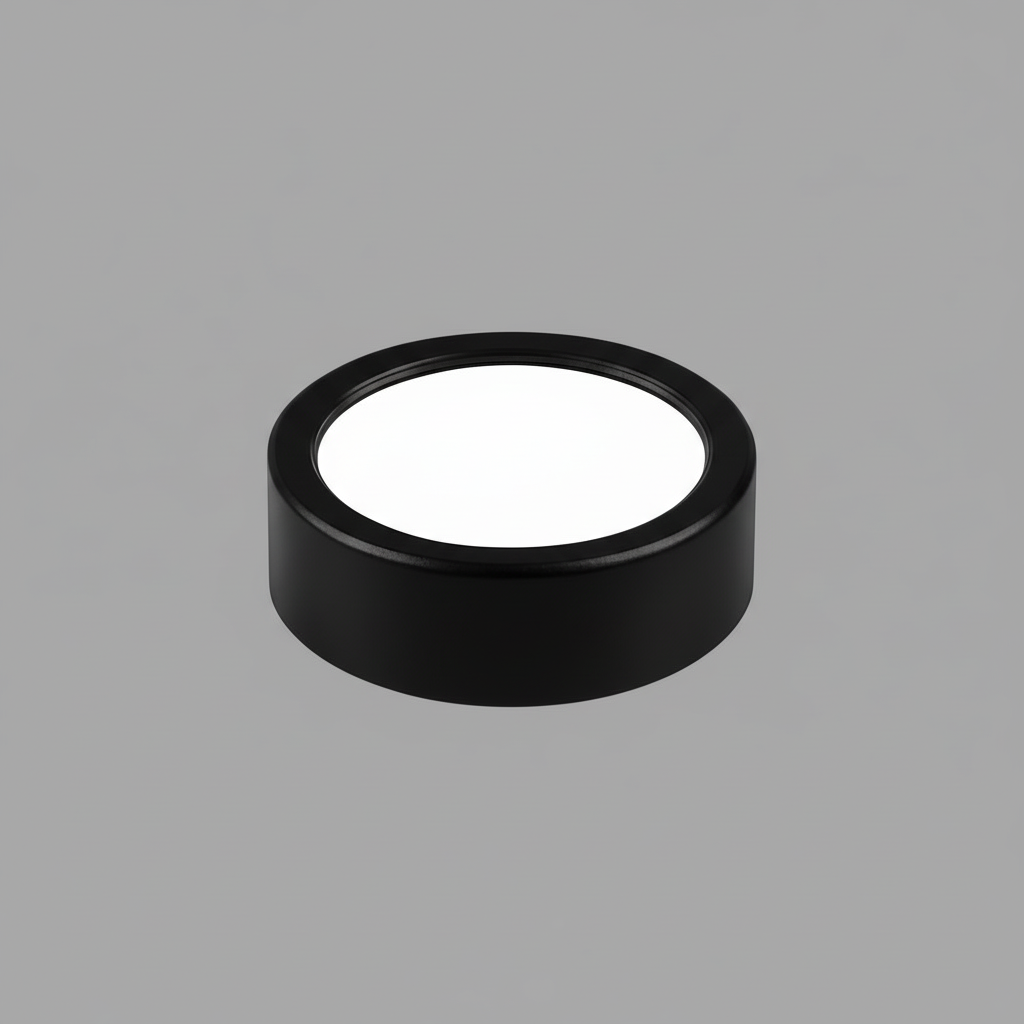 Ultra-Thin LED Ceiling Light | Modern Flush Mount Lamp