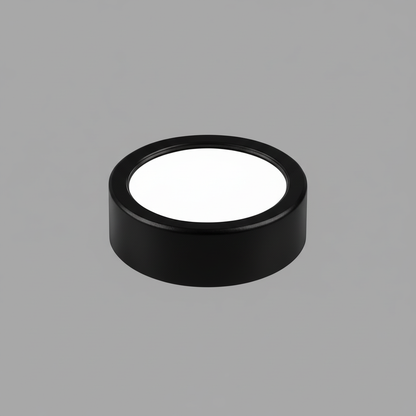 Ultra-Thin LED Ceiling Light | Modern Flush Mount Lamp