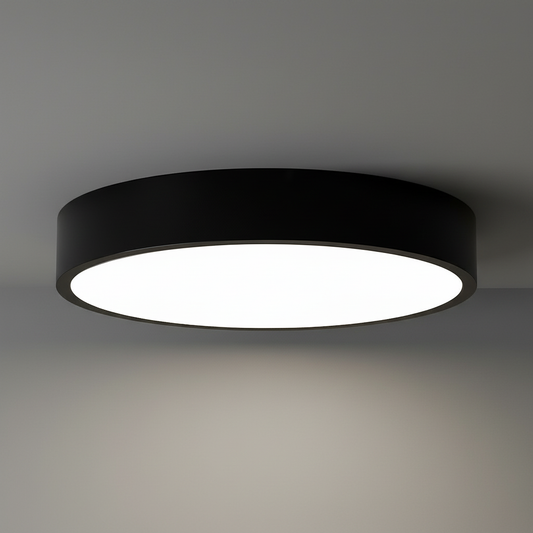Elegant LED Ceiling Light | Flush Mount Fixture
